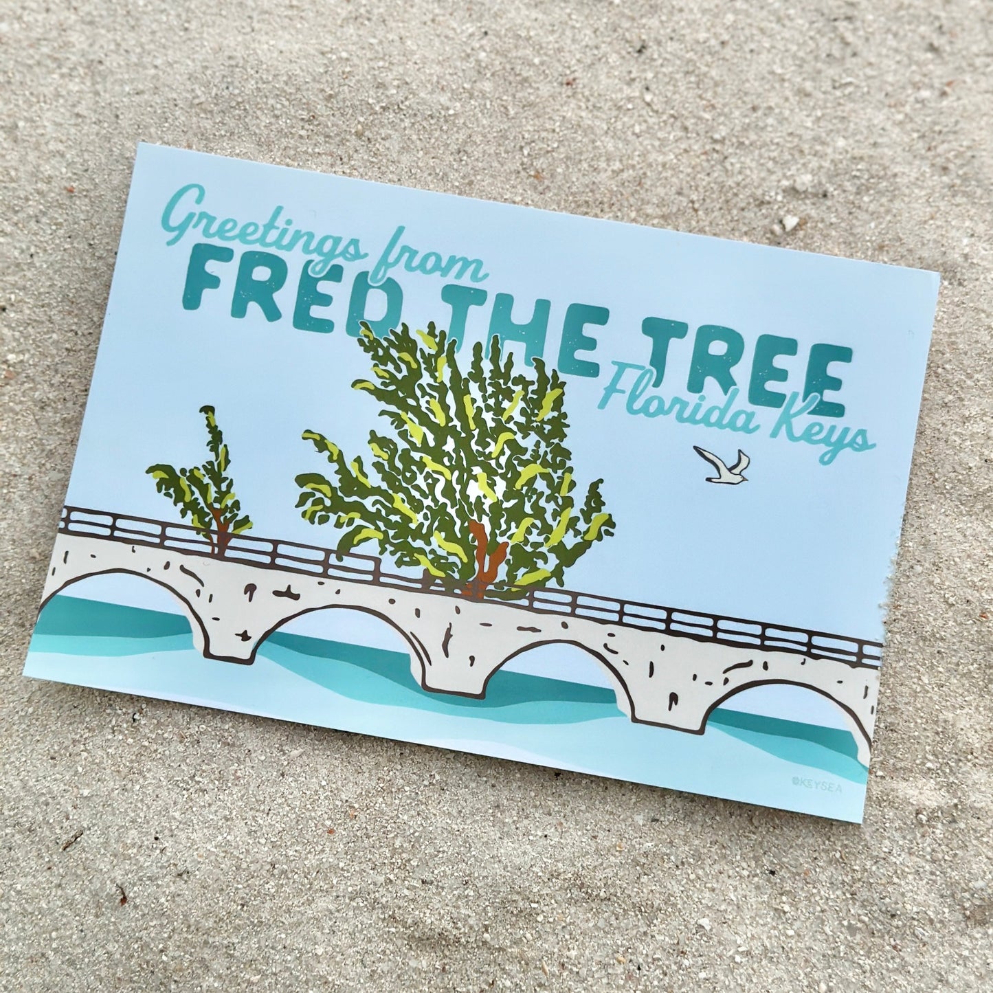 Greetings from Fred the Tree Postcard